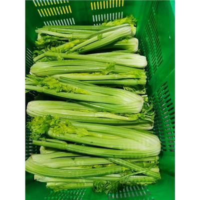 贏得兩地市場的信賴——橋頭鎮與常平鎮食材供應到底該選誰？