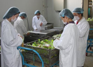 農副產品加工業與食品制造業有哪些不同